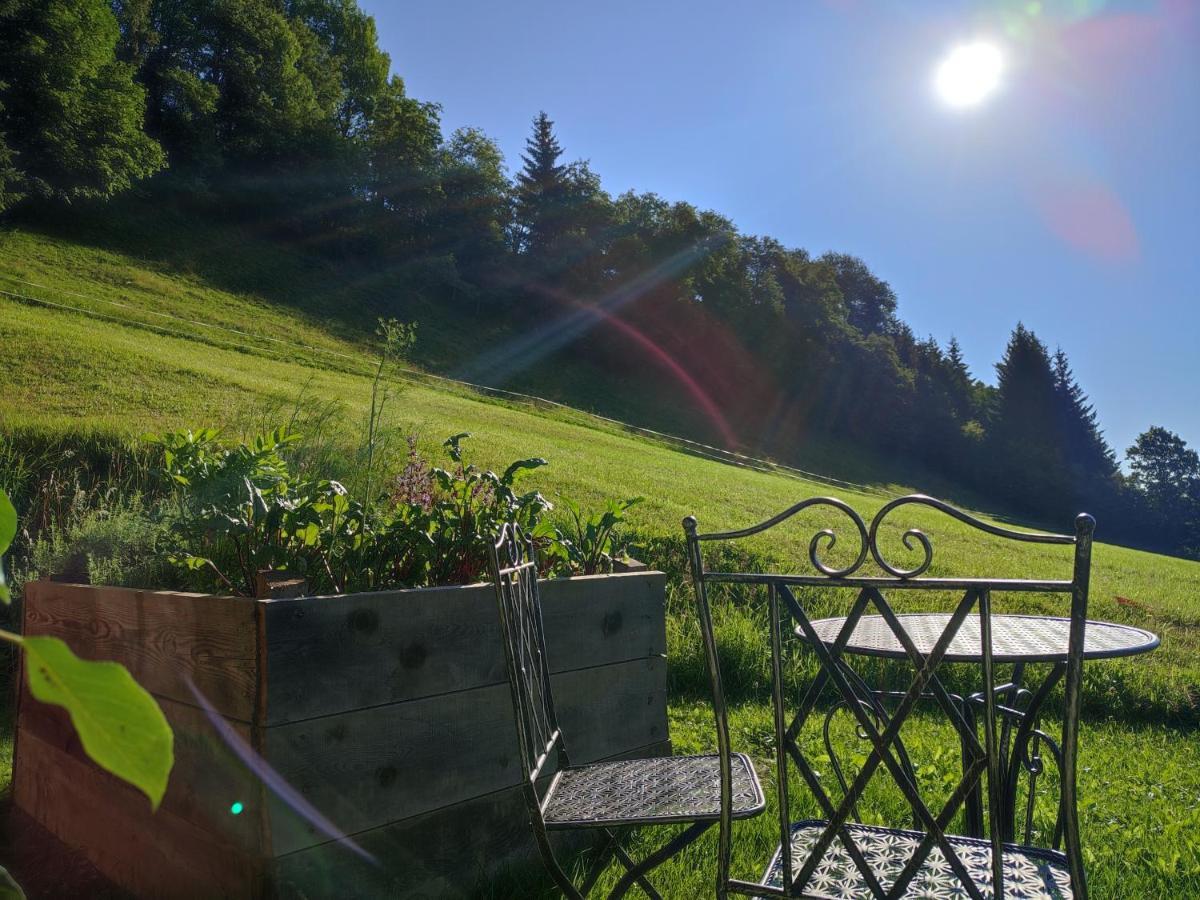 Ferienhaus Mittersill Am Biohof Widholz Luaran gambar