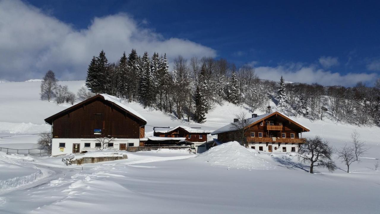 Ferienhaus Mittersill Am Biohof Widholz Luaran gambar